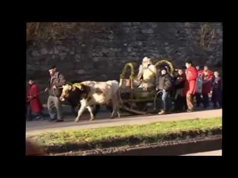 „საახალწლო განწყობით“ (ტყიბული - 2011)